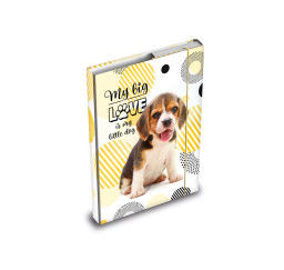 Desky na sešity A5 box pes MFP