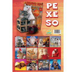 Pexeso Kočky X20 žánrové Aria