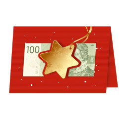 Vánoční přání V24-385 W...