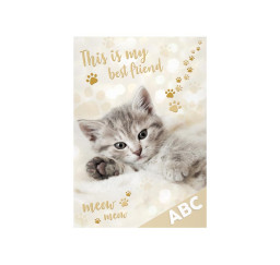 desky na ABC Kočka 8021047 MFP