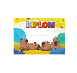 dětský diplom A5 DIP05-012...