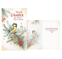 vánoční přání V24-499 T...