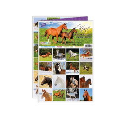 Pexeso Koně 5300904 MFP