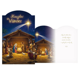 vánoční přání V24-511 T...