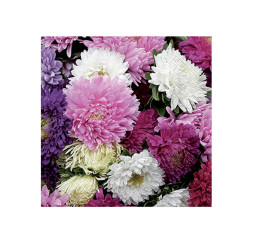 ubrousek P 33x33 celorok...