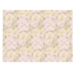 papír balící K348 100x70...