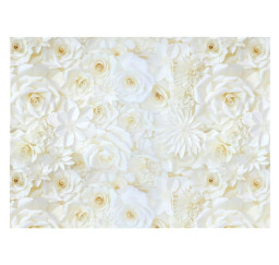 papír balící K352 100x70...