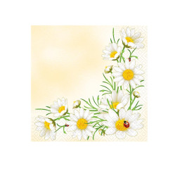 ubrousek P 33x33 celorok...