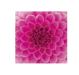 ubrousek P 33x33 celorok...