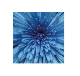 ubrousek P 33x33 celorok...