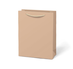 taška dárková T 4 kraft...