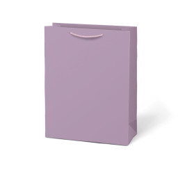 taška dárková T 5 kraft...