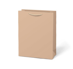 taška dárková T 5 kraft...