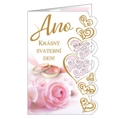 Gratulace svatba E2779 s...