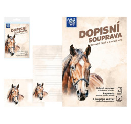 dopisní papír barevný LUX...