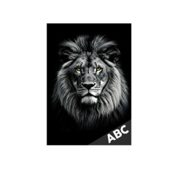desky na ABC Lev 8021161 MFP
