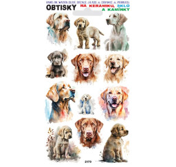 Ottisky Labrador 2170 na...