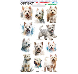 Obtisky West Highland White...
