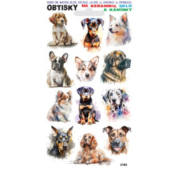 Obtisky různí psi 02 2182...