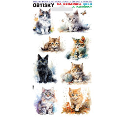 Obtisky kočky a koťata 01...